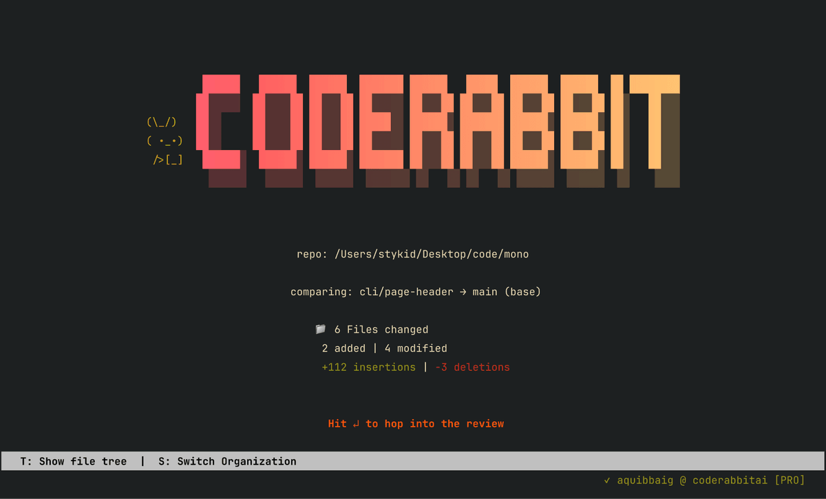 CodeRabbit — sponsor